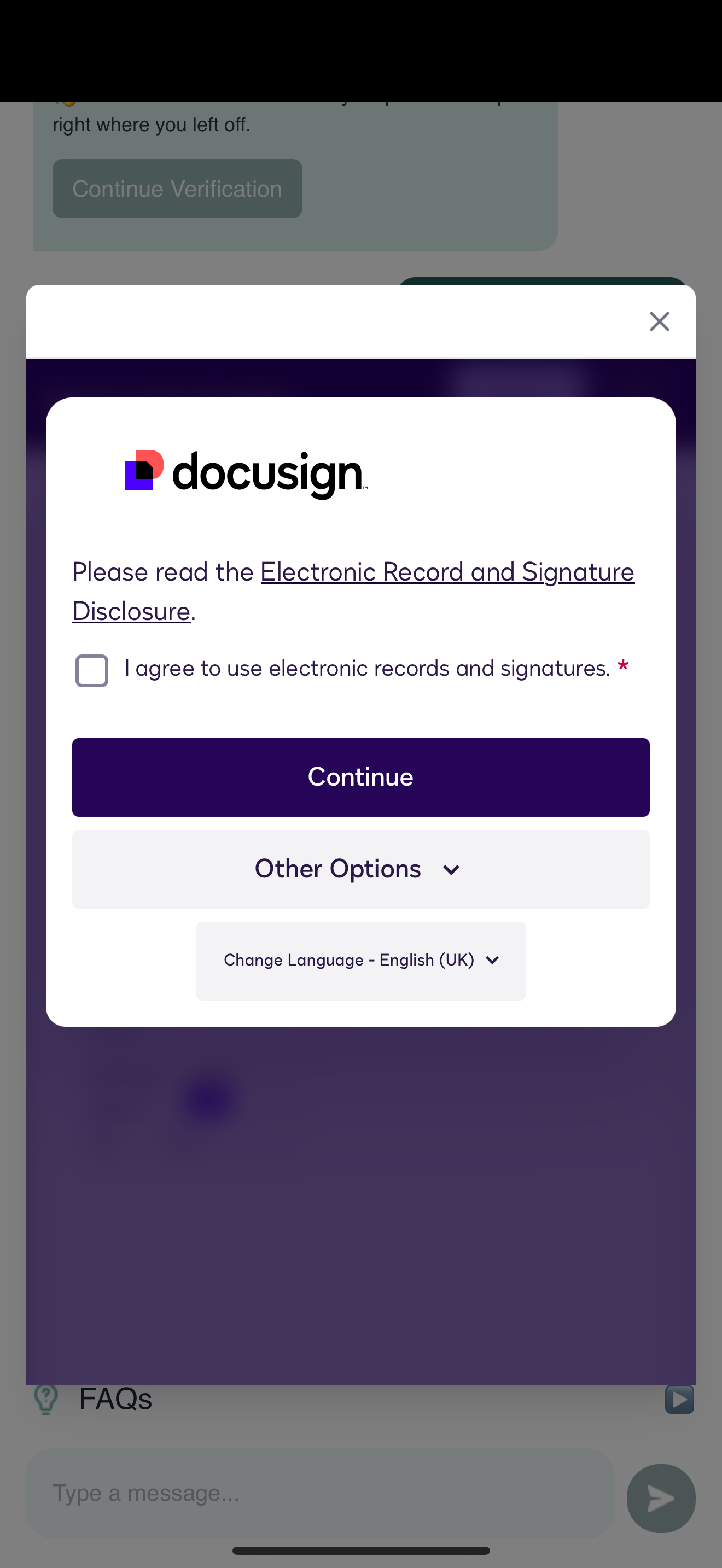 The DocuSign consent screen ensures clear consent.
